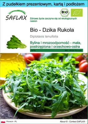 Zdjęcie produktu dla SAFLAX - Zestaw prezentowy - Bio - Dzika Rukola - 1500 Nasiona - Z pudełkiem upominkowym, etykietą wysyłkową, kartą podarunkową i podłożem uprawowym - Diplotaxis tenuifolia