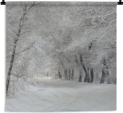 Produktbild von MuchoWow® Wandteppich Wandbehang Bäume - Schnee - Winter 90x90 cm Tapisserie Dekoration Wandtuch - Wandaufhänger