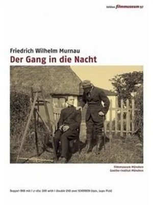 Produktbild von Der Gang in die Nacht