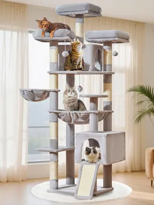 Image de Arbre à chat de 193 cm avec plusieurs plateformes et cachettes