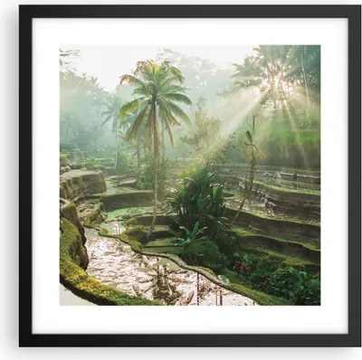 Produktbild von Gerahmtes Poster - Schwarzer Rahmen - Terrassen Reis Palmen - 40x40 cm - Wand Bild - Wanddeko - Wandbilder - Kunstposter - Wandposter - Bilderrahmen - Bilder - Kunstdruck - P2BAC40x40-4665