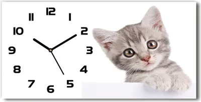 Produktbild von Wanduhr aus Glas – 60x30 cm - Glasbild - Glasuhr - Gehärtetes Glas - schwarze-zeiger - graue Katze