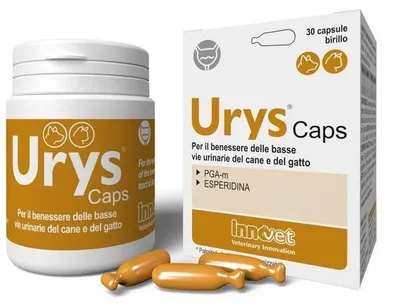 Produktbild von URYS CAPS, 30 Kapseln