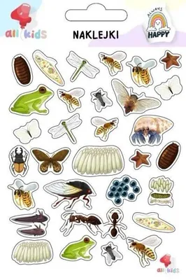 Image de Autocollants pour enfants « Insectes » - All4Kids