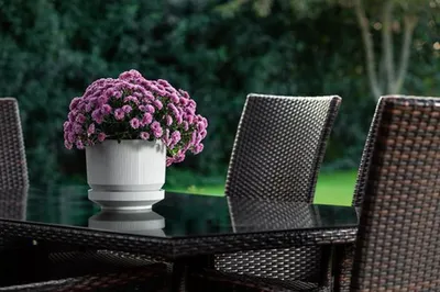 Image de 3 pots de fleurs de luxe couleur crème 6 L avec drainage et soucoupe 23 x 19 cm, idéaux pour les fleurs colorées
