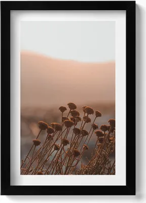 Produktbild von Boho romantische Graslandschaft– Wandbild mit Rahmen – Gerahmtes Bild  – Wanddekoration – 20x30 cm – Schwarz