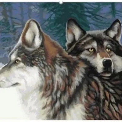 Productafbeelding van Schilderen op nummer: Wolven, bos, 50x40 cm + lijst