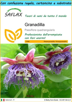 Immagine prodotto di SAFLAX Set regalo - Granadilla - 12 semi - Passiflora