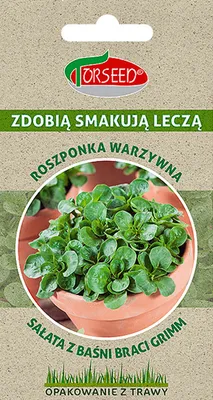 Produktbild von Samen des Gemüsesalats Verte de Cambrai 2g - Torseed