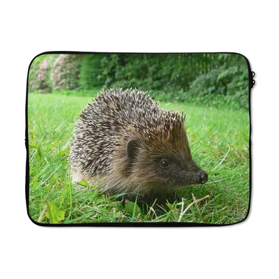 Produktbild von MuchoWow® Laptop Hülle 15 Zoll Igel im Garten Laptoptasche - Laptoptasche - Sleeve - Rundum-Schutz