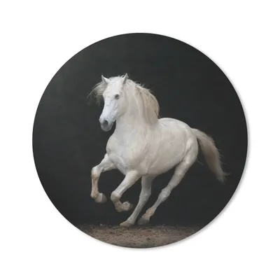 Produktbild von MuchoWow® Mauspad Mousepad Pferde - Schwarz - Porträt 30x30 cm - Mousepads - Maus Mat - Pad - Mausunterlage - Tischunterlage - Schreibtischmatten