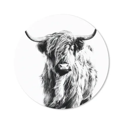 Produktbild von MuchoWow® Mauspad Mousepad Schwarz und Weiß - Schottischer Highlander - Tiere 40x40 cm - Mousepads - Maus Mat - Pad - Mausunterlage - Schreibtisch Accessoires