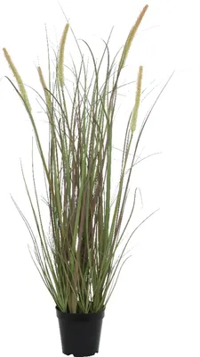 Produktbild von Kunstpflanze Schilfgrasbusch - Grün - schwarzer Kunststofftopf - H 90 cm