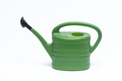 Immagine prodotto di annaffiatoio da giardino RAIN 2l verde