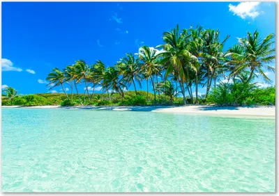 Produktbild von Tulup® Glas-Bild - 100 x 70 - Wandbild aus Glas - Wandkunst - Wandbild hinter gehärtetem Sicherheitsglas - Landschaften - Tropischer Strand - Grün