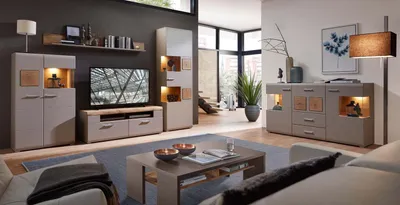 Produktbild von Fun Plus II Wohnzimmerkomplettset 1 inkl. LED-Beleuchtung Grau/Braun/Abs. Eiche Altholz