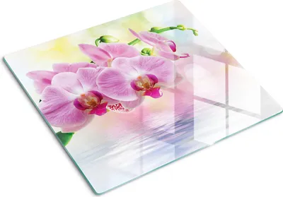 Imagen del producto de Placa de protección de vidrio – Cubierta para placa de cocina – Cubierta para placa de inducción – 60x52 cm – Limpieza fácil – Vidrio templado – Diseño de orquídea y rosas