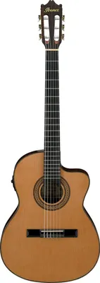 Zdjęcie produktu dla Ibanez GA5TCE