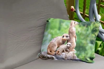 Produktbild von MuchoWow® Outdoor Kissen - Erdmännchen - Baumstumpf - Jungtier - 60x40 cm - Wetterfest - Lounge Kissen - Zierkissen - Kissen für Innenräume