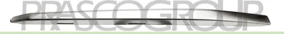 Produktbild von PRASCO Kühlergrill-Zierleiste BM0311223 Rechts für BMW 3 Touring (F31)