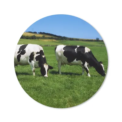 Produktbild von MuchoWow® Mauspad Mousepad Kuh - Tiere - Gras 20x20 cm - Mousepads - Maus Mat - Pad - Mausunterlage - Schreibtischmatte
