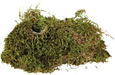 Zdjęcie produktu dla TRIXIE 76155, 200 g