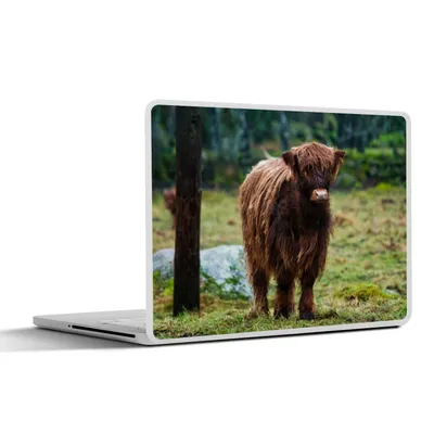 Produktbild von MuchoWow® Laptop Aufkleber Sticker Cover Schottischer Hochländer - Wald - Moos 36.5x27.5 cm - Laptop-Sticker