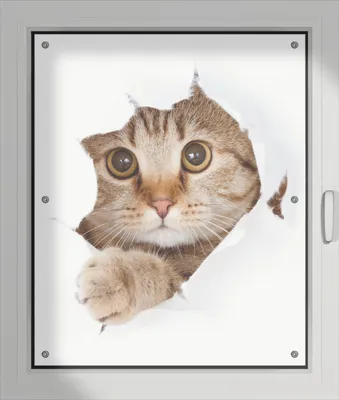 Produktbild von Wallario Lichtschutzbild, Dekorativer Sichtschutz Sonnenschutz 76 x 93 cm mit Motiv: Katze mit Blick nach vorn - Verdunklung ohne Bohren