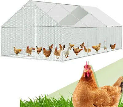 Immagine prodotto di Recinto per polli - Recinto esterno - Gabbia per polli - Gabbia per animali - Recinto per piccoli animali - Dimensioni: 300x600x200 cm
