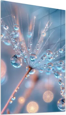Produktbild von Glasbild 60x90cm in XXL für Wohnzimmer, Schlafzimmer Motiv Wassertropfen Kunst