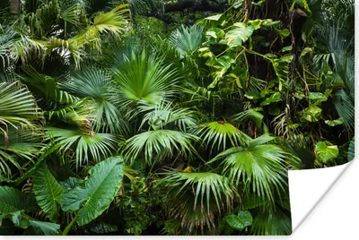Produktbild von MuchoWow® Poster Palmwedel - Sonne - Tropisch 60x40 cm - Schlafzimmerdekoration