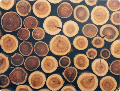 Obrázok produktu pre Drevené Kruhy– Ochranná podložka na podlahu – Podložka pod stoličku – 120 x 90 cm – Protišmyková podložka na tvrdé podlahy