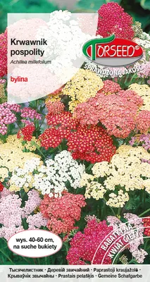 Zdjęcie produktu dla Mieszanka nasion krwawnika 0,01g - Torseed