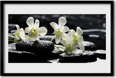 Produktbild von Bild 60x40 MDF-Rahmen Wandkunst Steine ​​Orchidee Pflanze