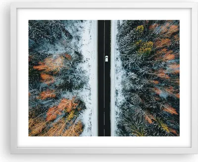Produktbild von Gerahmtes Poster - Weißer Rahmen - Wald Weg Schnee - 50x40 cm - Wand Bild - Wanddeko - Wandbilder - Kunstposter - Wandposter - Bilderrahmen - Bilder - Kunstdruck - Wanddekoration - P2WAA50x40-4654