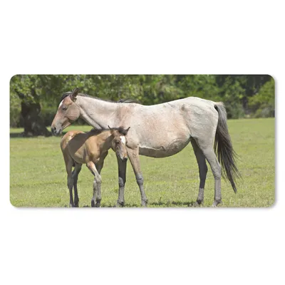 Produktbild von MuchoWow® Schreibtischunterlage Pferde - Gras - Schatten 80x40 cm - XXL Mauspad - Gaming Mauspad