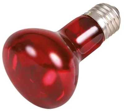 Produktbild von TRIXIE Infrarot Wärme-Spot-Lampe,