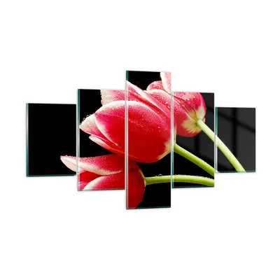 Produktbild von Bilder auf glas - Tulpe garten blume blumenstrauß - 125x70cm - Glasbilder - Wandbilder - Kunstdruck - zum Aufhängen bereit - Wanddekoration aus Glas - Glas Bilder - Wandbild auf Glas - GEA125x70-1494