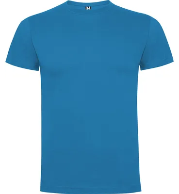 Image de Roly - T-shirt « Dogo Premium » pour homme LT6128 (S) (bleu-vert)