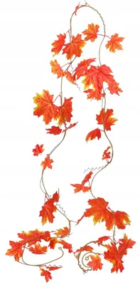 Image de DEKO Guirlande feuilles lierre automne décoration 2,4 m