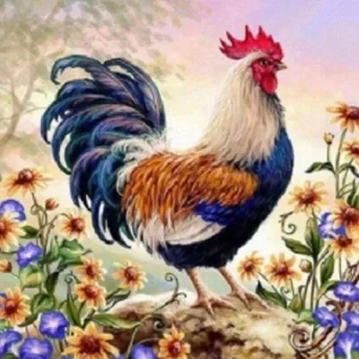 Obrázok produktu pre Obraz podľa čísel, kohút medzi kvetmi, 40x50 cm, na ráme, kreatívna výtvarná súprava