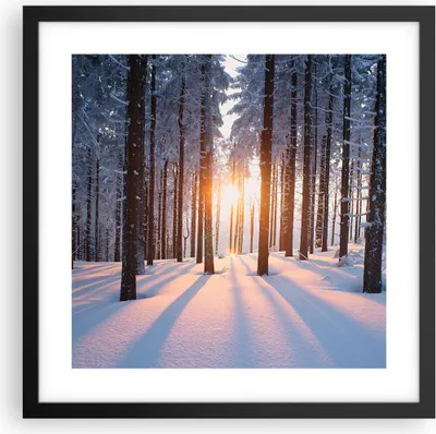 Produktbild von Gerahmtes Poster - Schwarzer Rahmen - Wald Winter Schnee - 40x40 cm - Wand Bild - Wanddeko - Wandbilder - Kunstposter - Wandposter - Bilderrahmen - Bilder - Kunstdruck - Wandbild - P2BAC40x40-3629