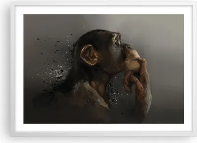 Produktbild von Gerahmtes Poster - Weißer Rahmen - Schimpanse Porträt Grafik - 70x50 cm - Wand Bild - Wanddeko - Wandbilder - Kunstposter - Wandposter - Bilderrahmen - Bilder - Kunstdruck - P2WAA70x50-4676