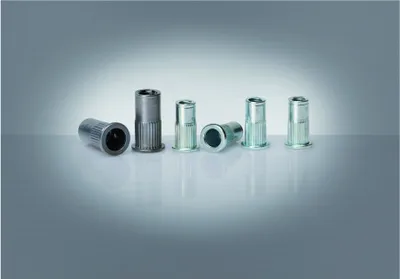 Productafbeelding van Gesipa blindnietmoeren PolyGrip, stalen schroefdraad, M 6 x 9 x 18, 250 stuks