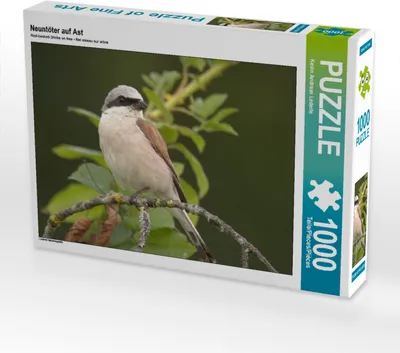 Produktbild von CALVENDO Puzzle Neuntöter auf Ast | 1000 Teile Lege-Größe 64x48cm Foto-Puzzle für glückliche Stunden