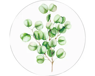 Produktbild von Glasbild Eucalyptus Branches Ø 50 cm