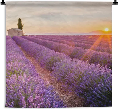 Produktbild von MuchoWow® Wandteppich Wandbehang Lavendel - Sonnenuntergang - Blumen - Lila 90x90 cm Tapisserie Dekoration Wandtuch - Wandaufhänger