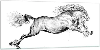 Produktbild von Bilder auf glas - Einteilig - Pferd Zeichnung Bleistift - 120x50cm - Glasbilder - Wandbilder - Bilder - Wanddekoration aus Glas - Glas Bilder - Wandbild auf Glas - GAB120x50-4906