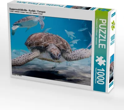 Produktbild von CALVENDO Puzzle Suppenschildkröte - Karibik / Curaçao | 1000 Teile Lege-Größe 64x48cm Foto-Puzzle für glückliche Stunden