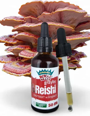 Imagen del producto de Extracto de Reishi (Ganoderma lucidum), hongo que ayuda a mejorar la memoria. 50 ml de extracto natural de hongo Reishi, ideal para HerbaVita